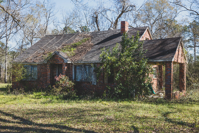 Residential street in Florida
